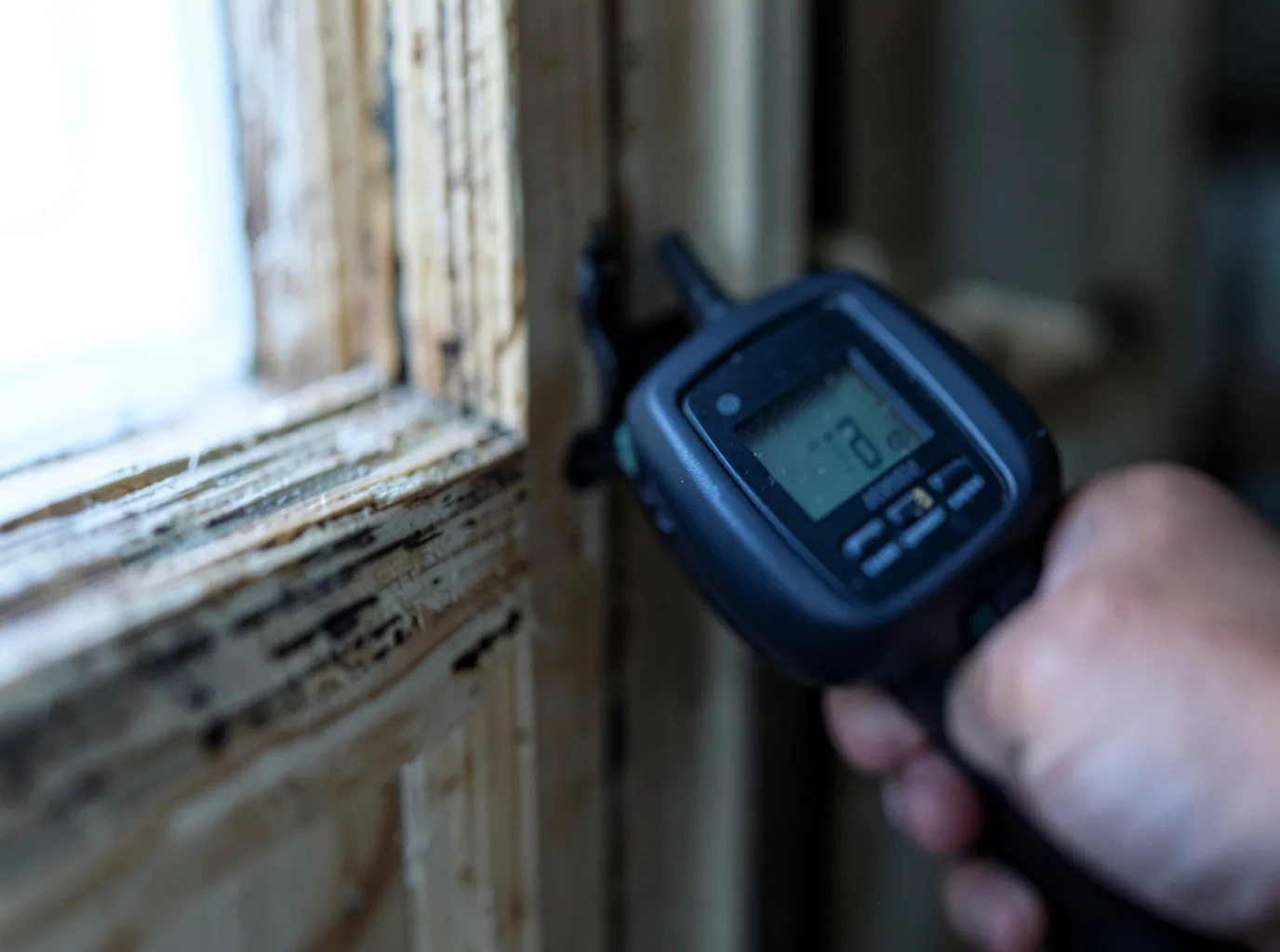 Moisture Inspection And Documentation in Wood Dale, IL